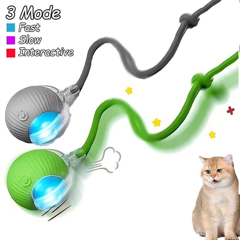 Intelligent Interactive Pet Ball – Premium Motion & Play Technology
