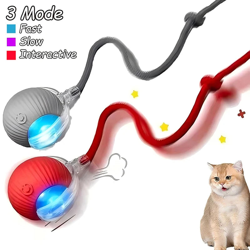 Intelligent Interactive Pet Ball – Premium Motion & Play Technology