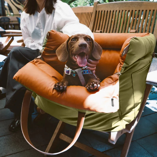 Pet Outing Lathe Luxury Faux Leather Dog Car Seat/Cat Car Bed/Booster Bed Pet Booster Car Seat Dog Comfortable Cat Travel Bed