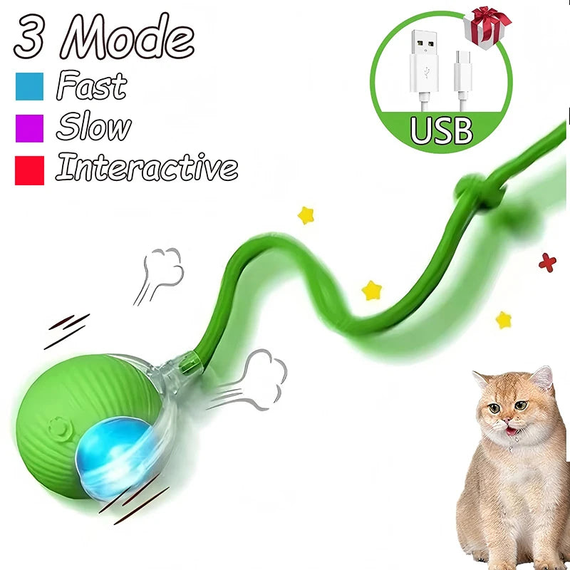 Intelligent Interactive Pet Ball – Premium Motion & Play Technology