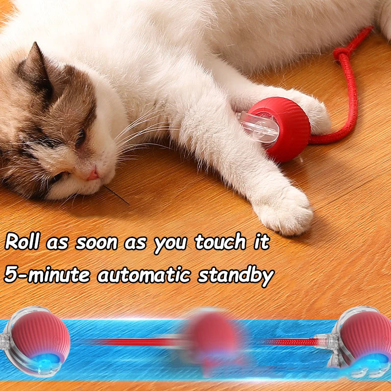 Intelligent Interactive Pet Ball – Premium Motion & Play Technology