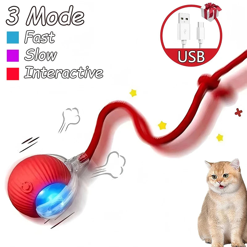 Intelligent Interactive Pet Ball – Premium Motion & Play Technology