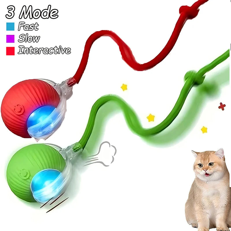 Intelligent Interactive Pet Ball – Premium Motion & Play Technology