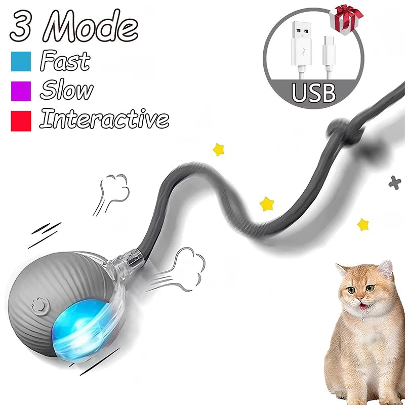 Intelligent Interactive Pet Ball – Premium Motion & Play Technology